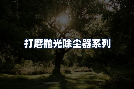打磨抛光除尘器